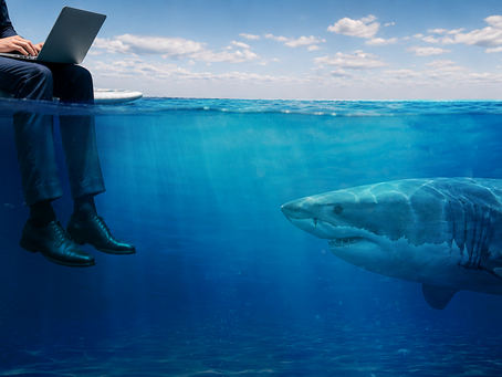 The Most Dangerous Risks in Your Business Don't Swim on the Surface