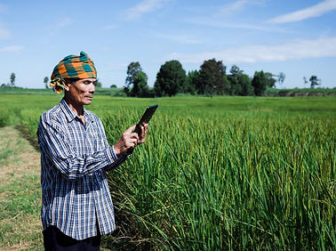 asian-man-farmer-with-hand-holding-smart-phone-standing-rice-farm-cash-subsidy-concept_557