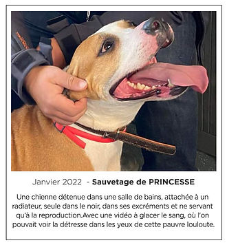 SAUVETAGE PRINCESSE.jpg