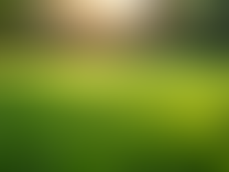 Why Regular Lawn Maintenance Matters for Your Property