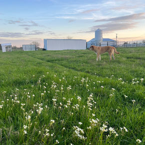 Spring Has Sprung…