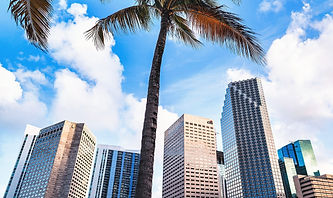 downtown-miami-florida-palms-building (1)_edited_edited.jpg