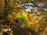 EAL_Trekking_Bosco .jpg