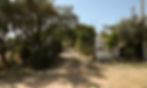 cropped-3T2A3591-1-scaled-1.jpg