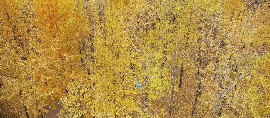 Mi Paz es Primero DÃa 5