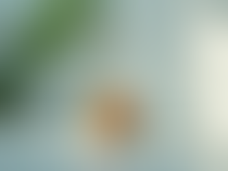 Sanitize Tools with Barbicide Effectively: Your Ultimate Tool Sanitization Solutions