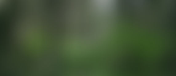 Mi Paz Es Primero DÃa 7