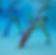 166150_192706047410584_2561231_n.jpg