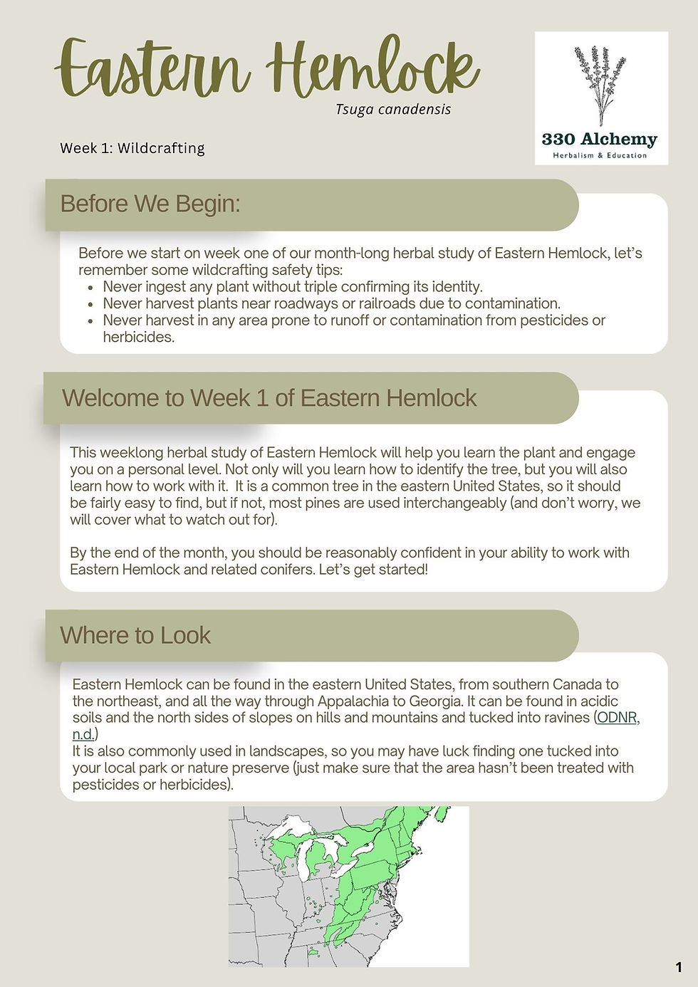 Month-long Herbal Study Week 2: Eastern Hemlock