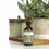 Thumbnail: Earthley Vaccine Detox- for heavy metals and gut healing