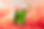 Olive-Oil_R2.png