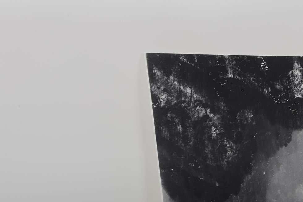 Thumbnail: Wudangshan (2020)