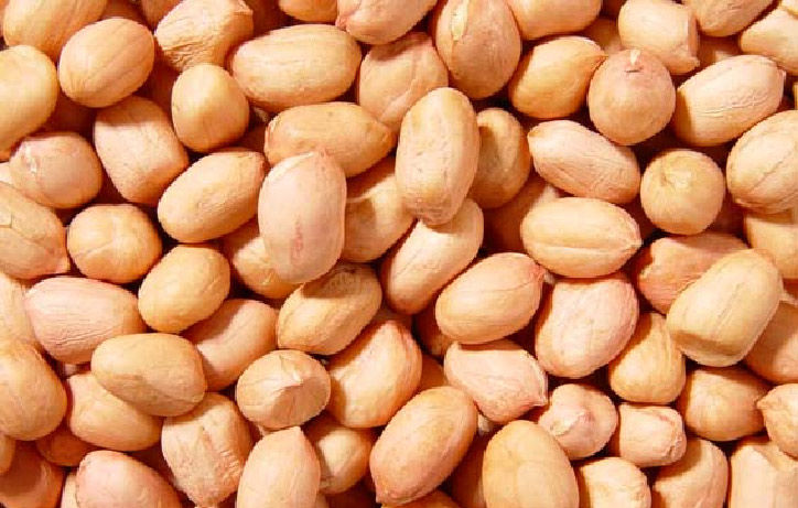 PEANUT KERNELS