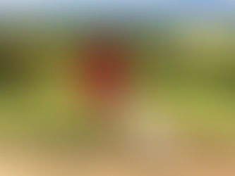 five ways to keep a clearer mind