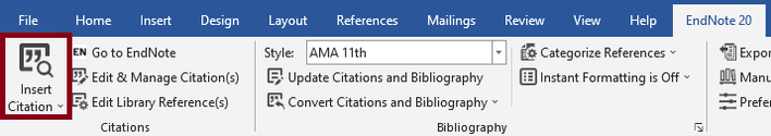 endnoteword - insert.png
