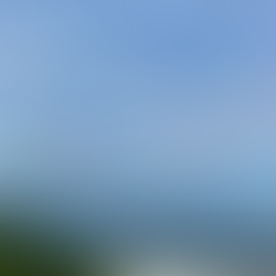 流れにまかせて