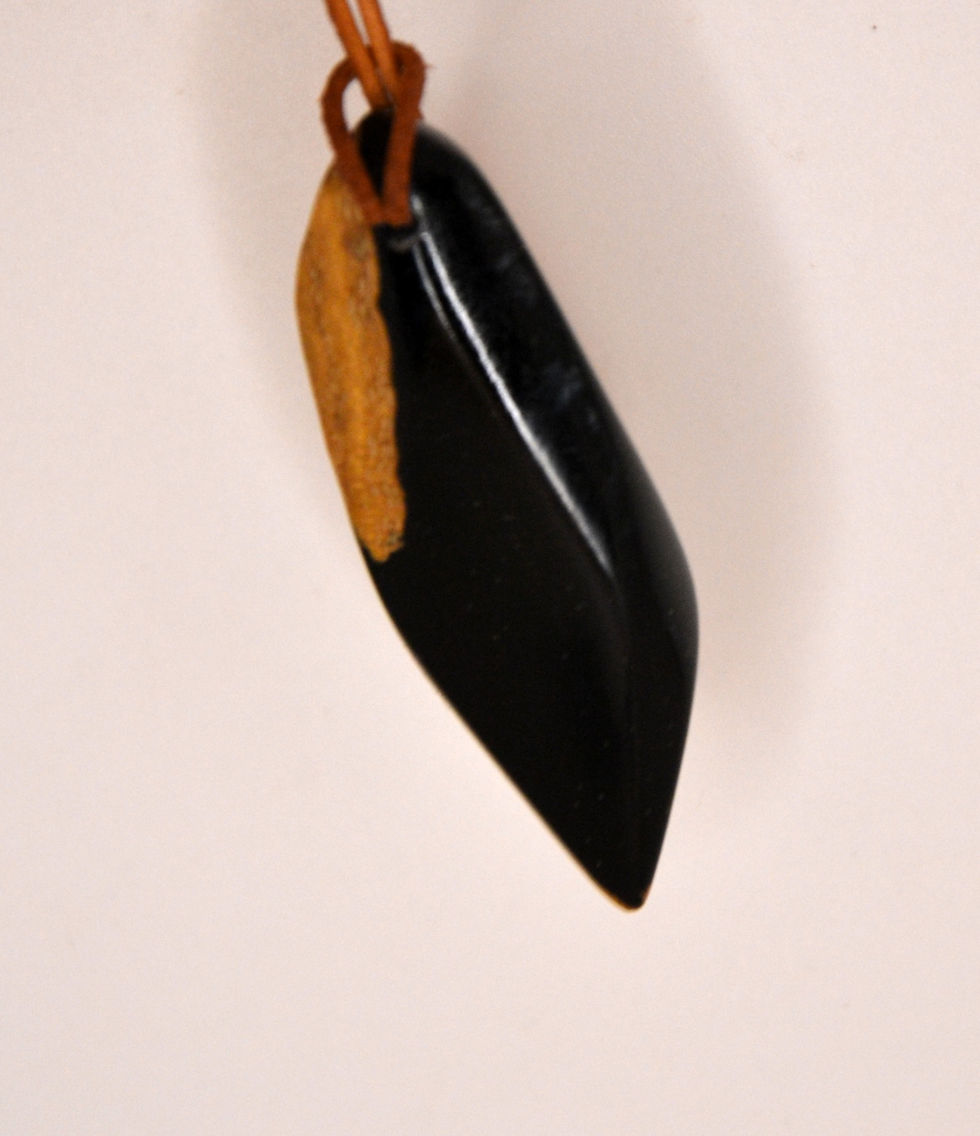 Miniature : Chêne noir