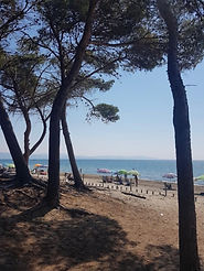 Agriturismo le Pellicce