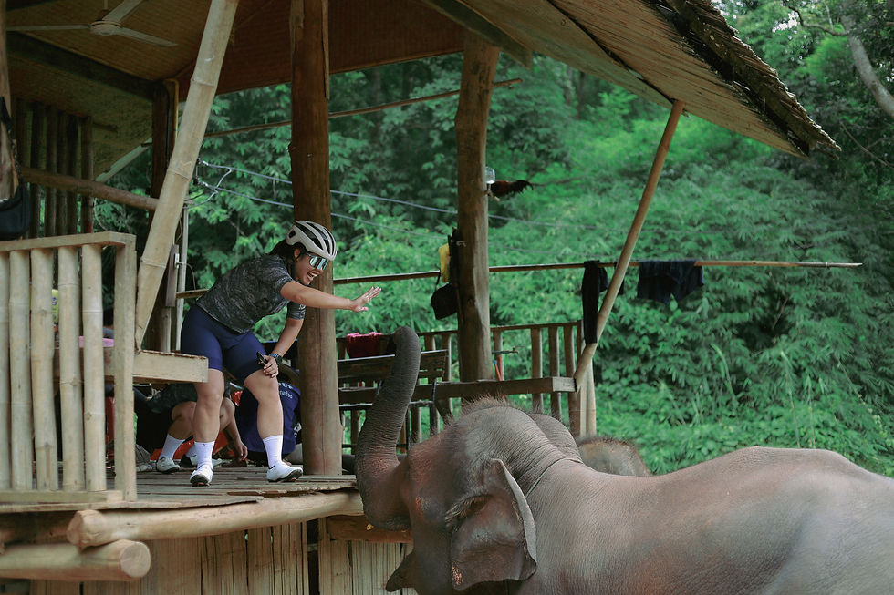 6D5N Chiang Mai Tour: Where Nature Meets Culture