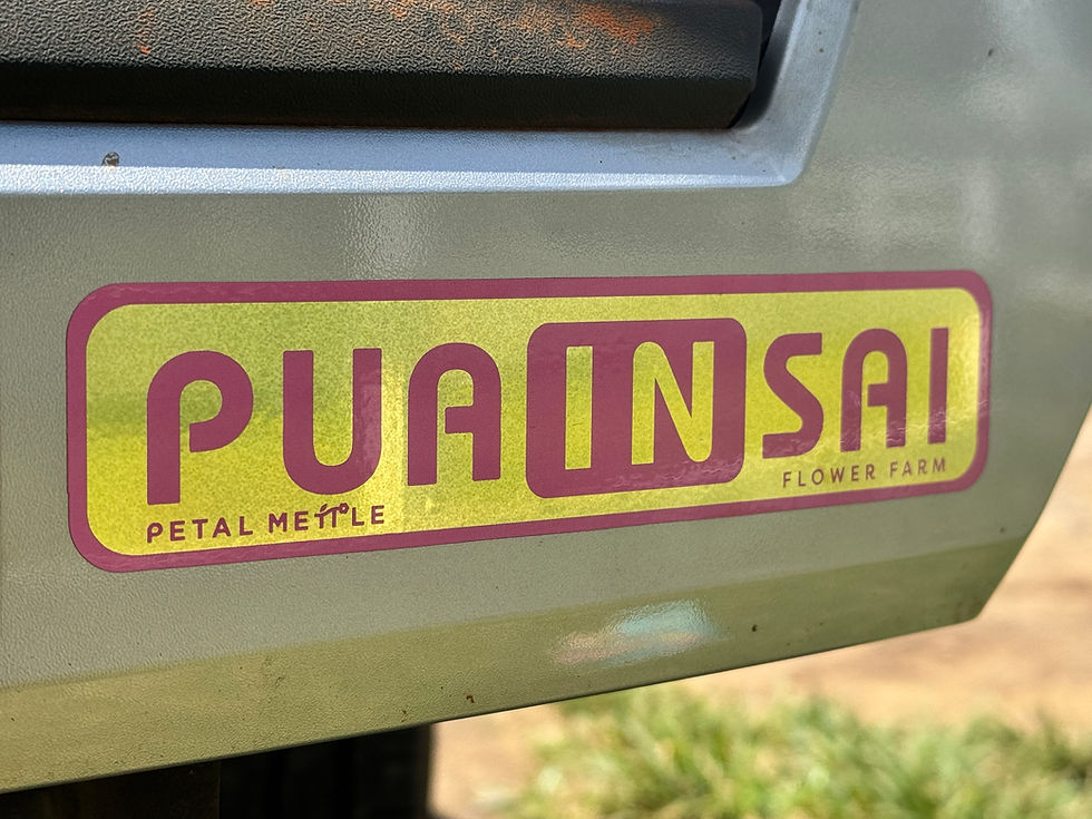 Thumbnail: PUAINSAI bumper sticker