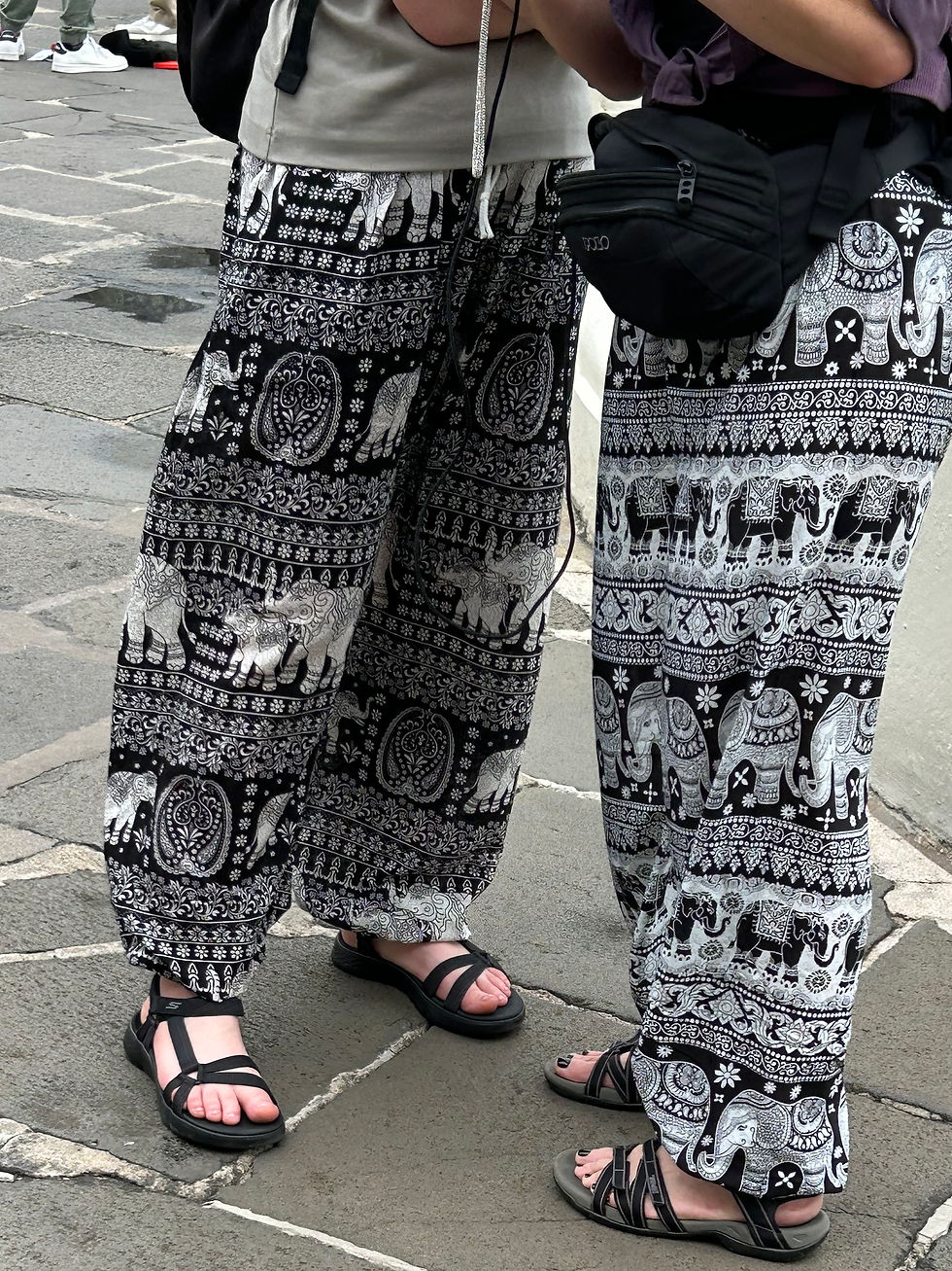 These are the cute elephant pants that many of the visitors are wearing.