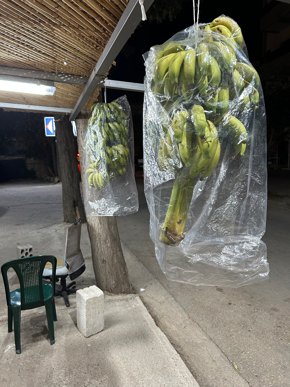 This is typically how you see bananas for sale. This fruit stand is located on our typical walking route through downtown Batroun.