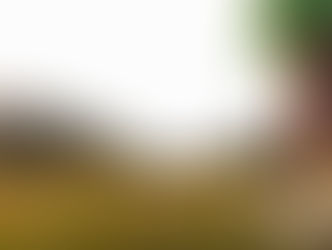 Vrei sa fii mai creativ? Afla cum te pot ajuta plimbarile in spatiile verzi