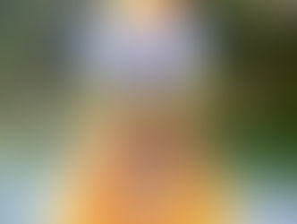 Armura mea este curajul