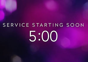 Live Stream