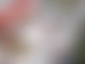 Inauguración del programa Vasconcelos Impulsa: una experiencia educativa, cultural y gastronómica