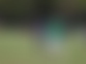 TRIUNFO HALCONES UV VS BENV