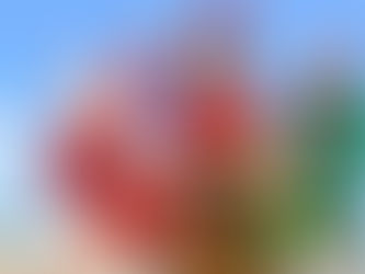 It's Beginning to Look a Lot Like Christmas