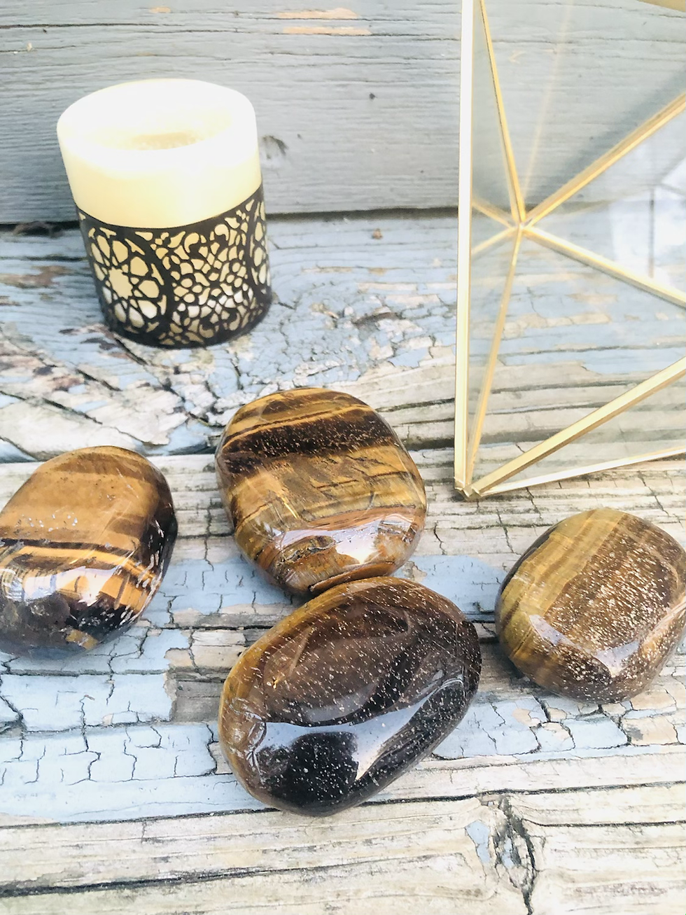 Thumbnail: Tigers Eye Palm