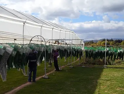 CAPACITACION - CAVAGRO