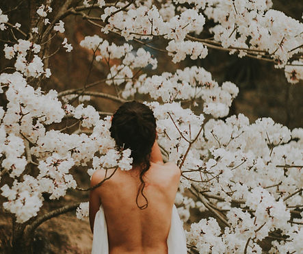 rodolfo-sanches-carvalho-Etb6y52feSY-unsplash.jpg