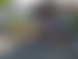 Wheatland Recreation Survey Opportunity