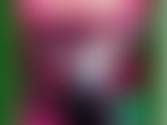 Dear Annie, I Hate You