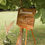 Miniature : Location décoration mariage morbihan vannes