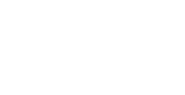 image (1).png