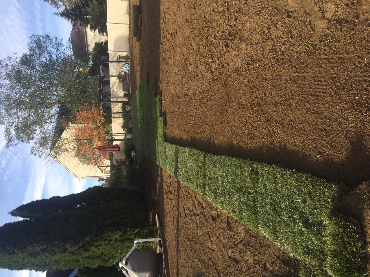 fine-grading-seeding-robinson-landscape
