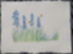 Watercolour Flower Painting Workshop