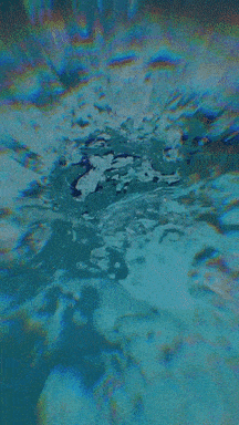 giphy-downsized 2.GIF