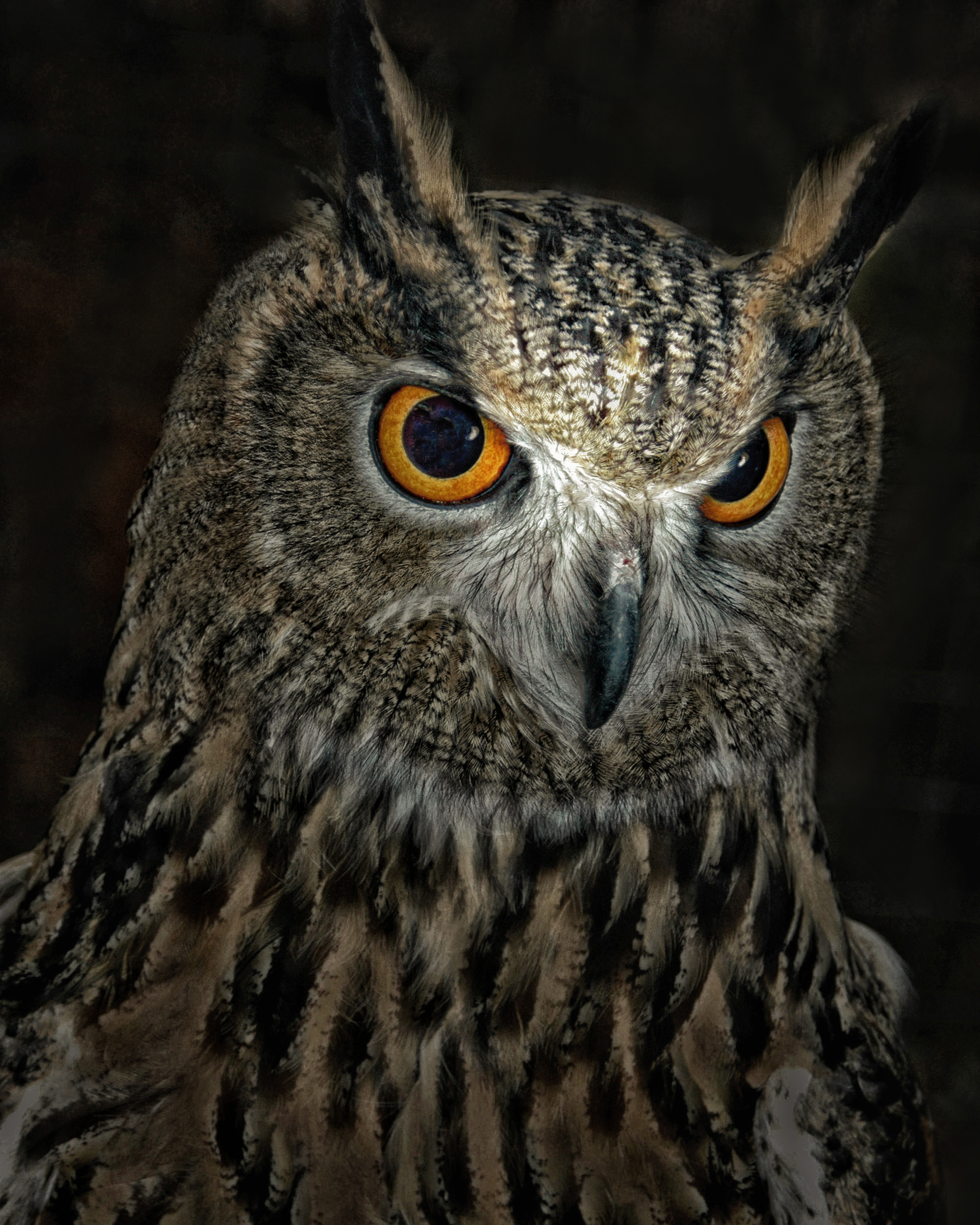 Night Watch