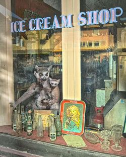 Ice Cream Shop