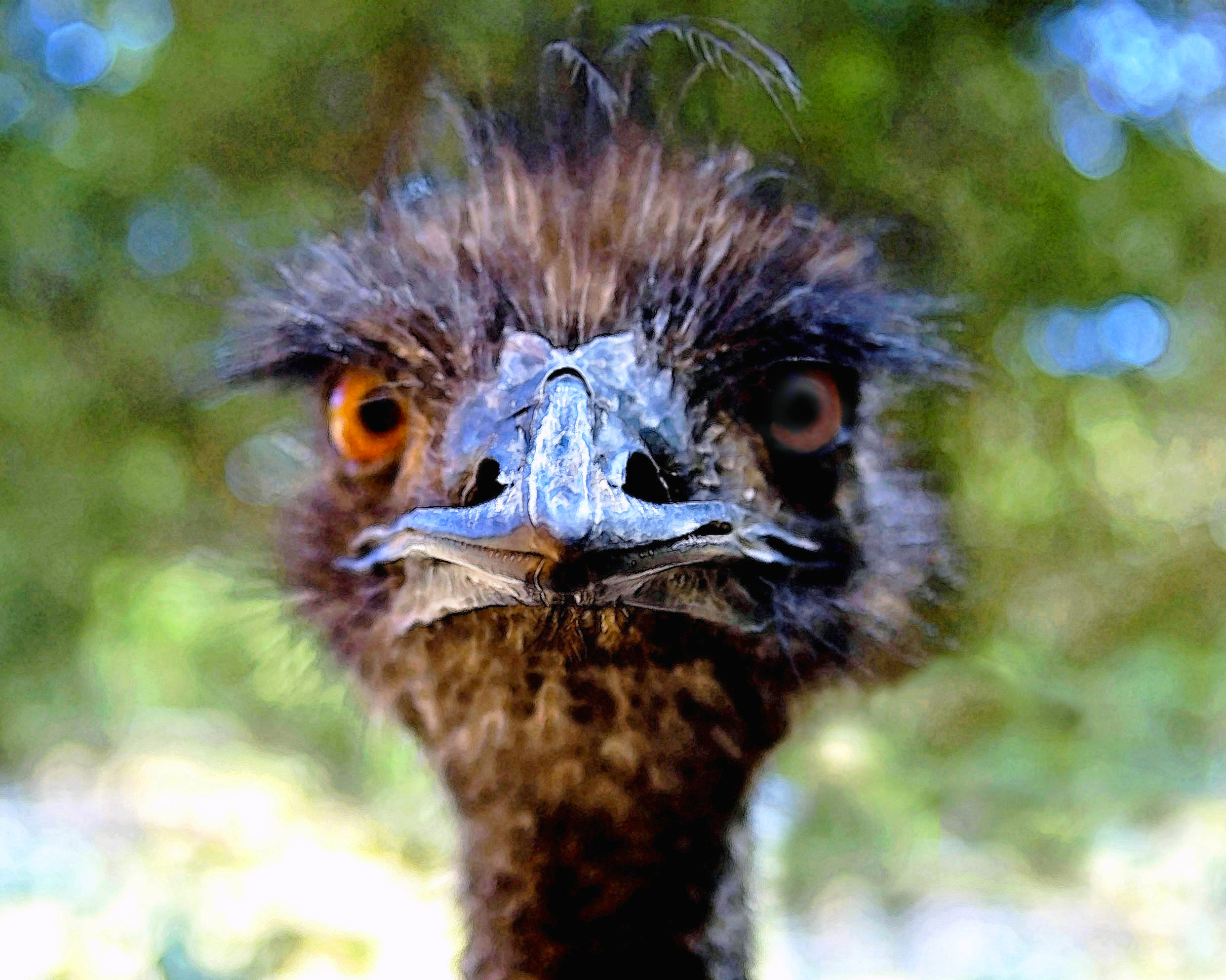 Bad Hair Day