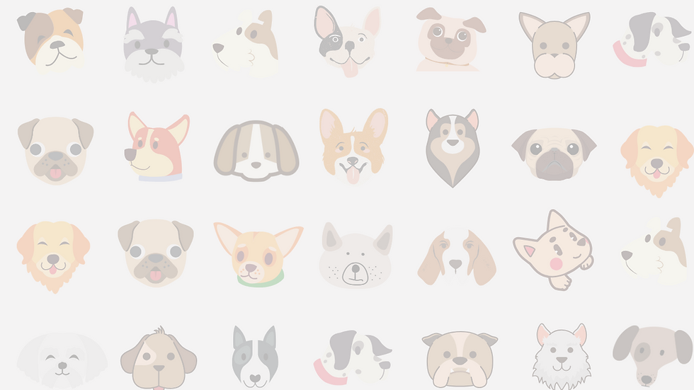 website background.png