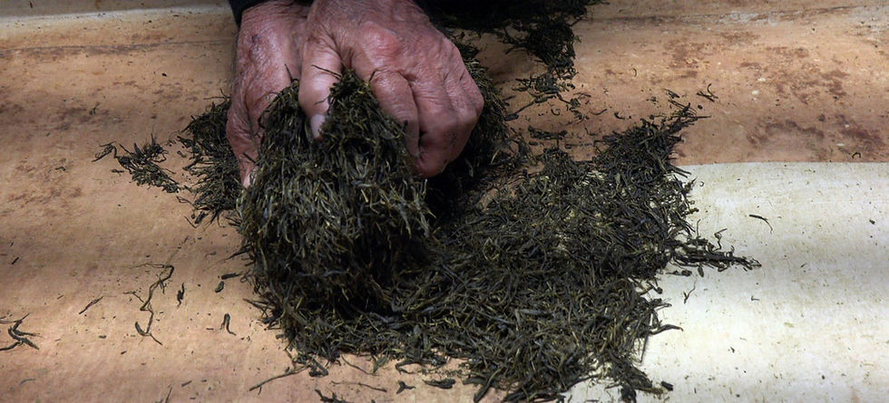 2024年11月7日 (5-2).jpg