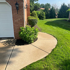 Clean recently pressure concrete walkway