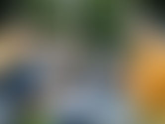 The Link Between Belonging and Wellness: A New Approach for HR Leaders