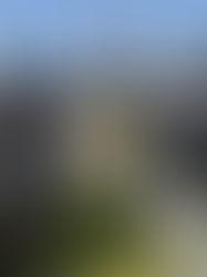 Say goodbye to the networking vs. entertainment dilemma with Silent Disco Corporate Entertainment.